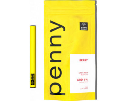 Vape pen puff PENNY Berries 600mg
