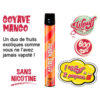 Liquideo WPUFF Goyave mango 1.7 de nicotine