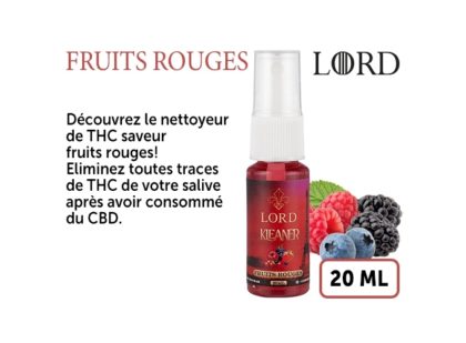SPRAY KLEANER FRUITS ROUGES 20ML LORD