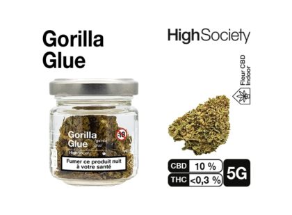 HIGH SOCIETY GORILLA GLUE IND 5G