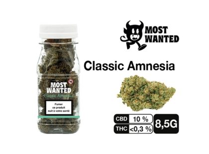 MOST WANTED AMNESIA 8.5G