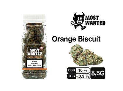 MOST WANTED ORANGE BISCUIT 8.5G
