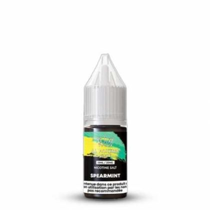 Spearmint – Al Fakher 20 mg/ml de nicotine