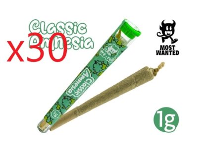 30 PRE-ROULE MOST WANTED AMNESIA