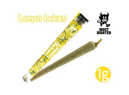 PRE-ROULE MOST WANTED LEMON