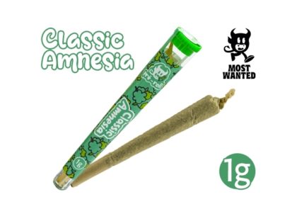 PRE-ROULE MOST WANTED AMNESIA