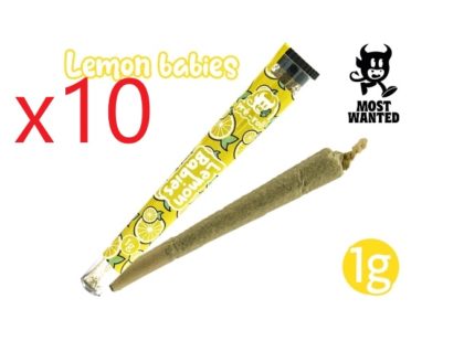 10 PRE-ROULE MOST WANTED LEMON
