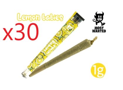 30 PRE-ROULE MOST WANTED LEMON