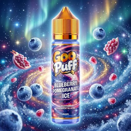 Blueberry Pomegranate Ice 50ml – Goo Puff